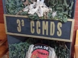 2019-02-09  COMANDOS